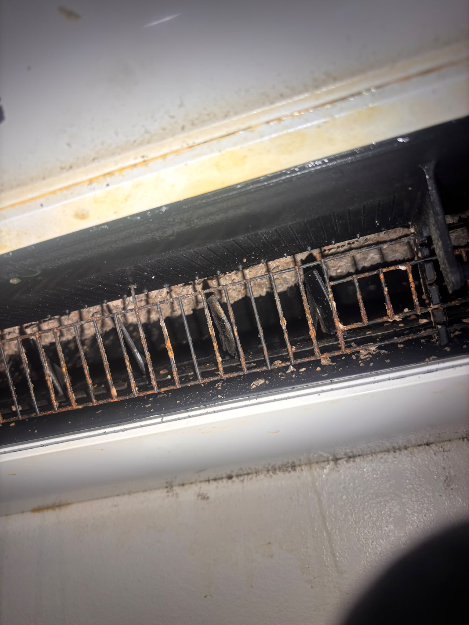 Accumulated dirt on the blower inside the air outlet.