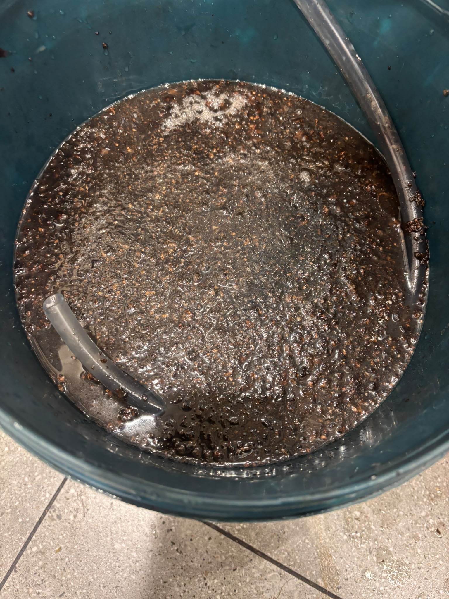 Dark water and debris collected in a bucket during the job.